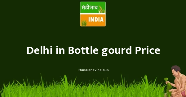 Bottle gourd भाव